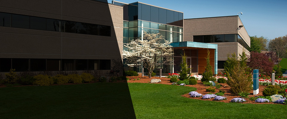 East Falmouth Landscapers